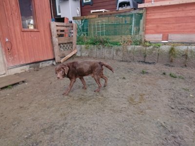 f:id:roukenhome-ann:20190119052157j:plain f:id:roukenhome-ann:20190119052157j:plain