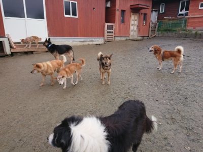 f:id:roukenhome-ann:20190119052221j:plain f:id:roukenhome-ann:20190119052221j:plain