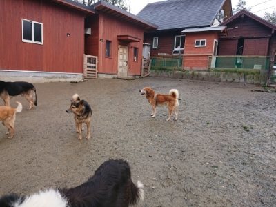 f:id:roukenhome-ann:20190119052239j:plain f:id:roukenhome-ann:20190119052239j:plain
