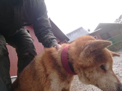 f:id:roukenhome-ann:20190119052321j:plain f:id:roukenhome-ann:20190119052321j:plain