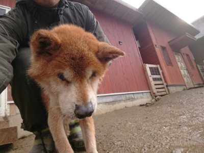 f:id:roukenhome-ann:20190119052354j:plain f:id:roukenhome-ann:20190119052354j:plain