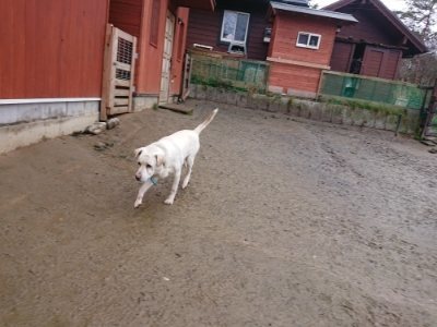 f:id:roukenhome-ann:20190119052422j:plain f:id:roukenhome-ann:20190119052422j:plain