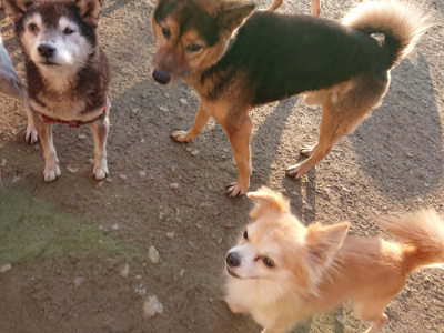 f:id:roukenhome-ann:20190120053431j:plain