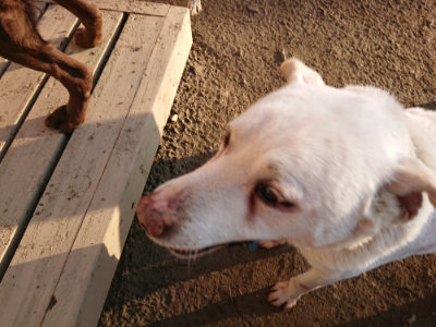 f:id:roukenhome-ann:20190120053445j:plain