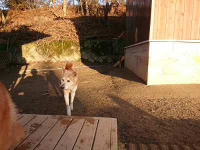 f:id:roukenhome-ann:20190120053504j:plain
