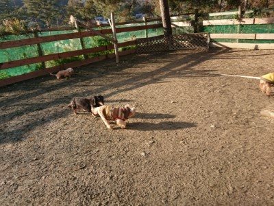 f:id:roukenhome-ann:20190120053601j:plain