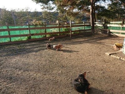 f:id:roukenhome-ann:20190120053647j:plain