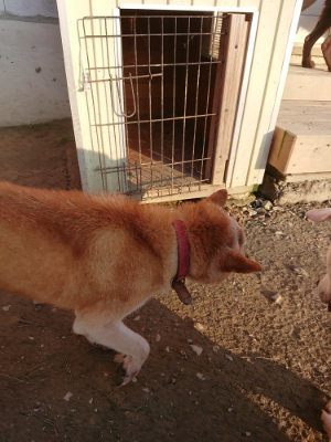 f:id:roukenhome-ann:20190120053651j:plain