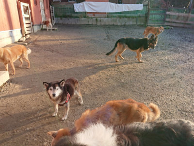 f:id:roukenhome-ann:20190120053657j:plain