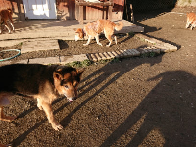 f:id:roukenhome-ann:20190120053742j:plain