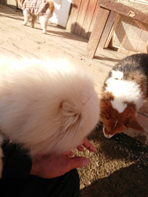 f:id:roukenhome-ann:20190120070301j:plain