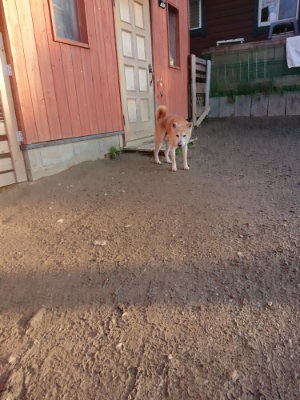f:id:roukenhome-ann:20190120070310j:plain