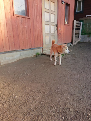 f:id:roukenhome-ann:20190120070340j:plain