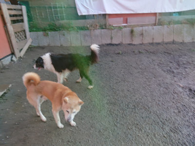 f:id:roukenhome-ann:20190120070413j:plain