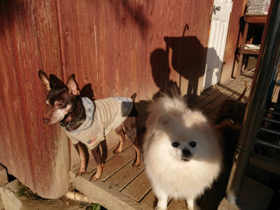 f:id:roukenhome-ann:20190120070422j:plain