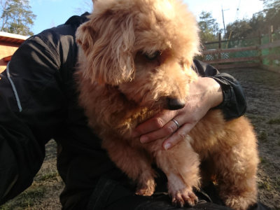 f:id:roukenhome-ann:20190120070428j:plain