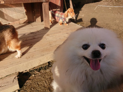 f:id:roukenhome-ann:20190120070438j:plain