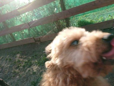 f:id:roukenhome-ann:20190120070448j:plain