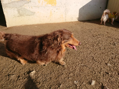 f:id:roukenhome-ann:20190120070508j:plain