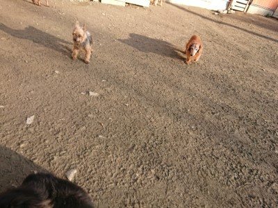 f:id:roukenhome-ann:20190120072538j:plain