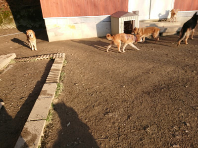 f:id:roukenhome-ann:20190120072635j:plain