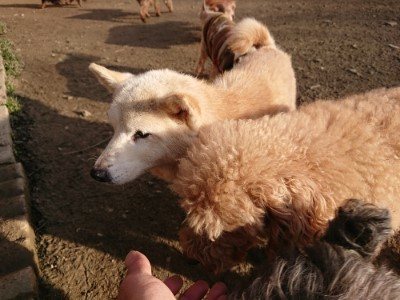 f:id:roukenhome-ann:20190120072701j:plain