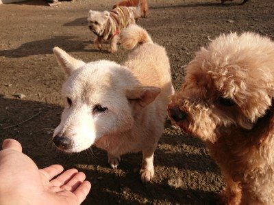 f:id:roukenhome-ann:20190120072724j:plain