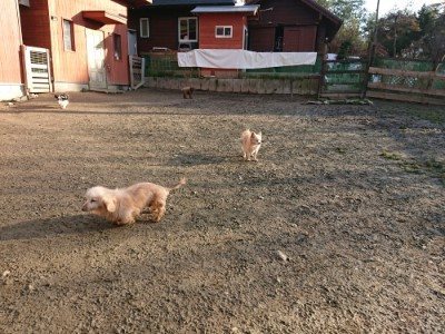 f:id:roukenhome-ann:20190120072737j:plain