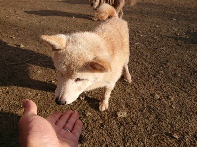 f:id:roukenhome-ann:20190120072752j:plain