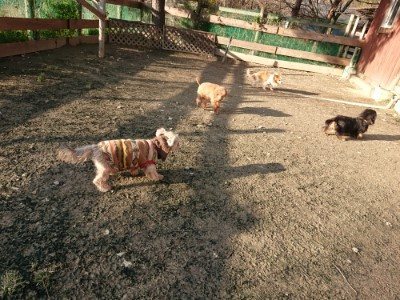 f:id:roukenhome-ann:20190120072843j:plain