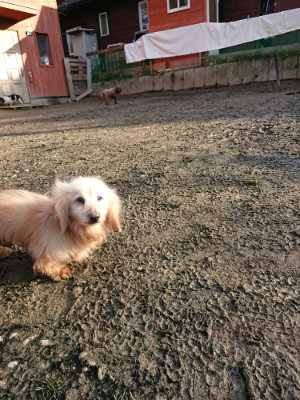 f:id:roukenhome-ann:20190120072929j:plain