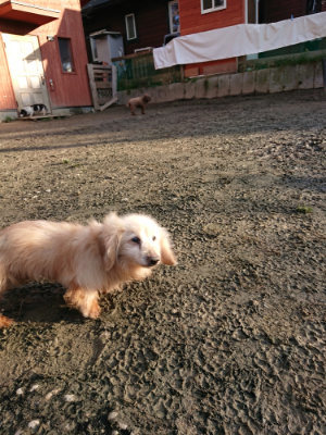 f:id:roukenhome-ann:20190120072944j:plain