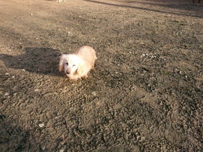 f:id:roukenhome-ann:20190120074404j:plain