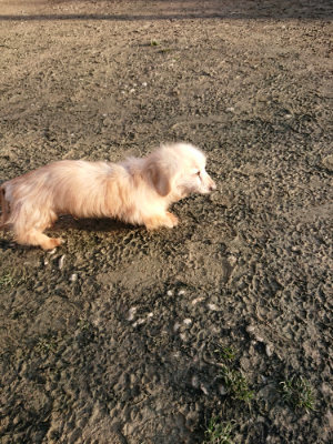 f:id:roukenhome-ann:20190120074432j:plain