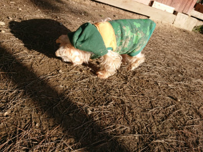 f:id:roukenhome-ann:20190120074527j:plain