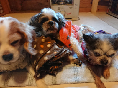 f:id:roukenhome-ann:20190120074615j:plain