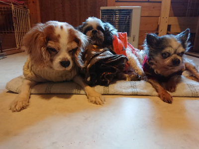 f:id:roukenhome-ann:20190120074655j:plain