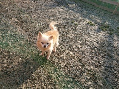 f:id:roukenhome-ann:20190120075247j:plain f:id:roukenhome-ann:20190120075247j:plain