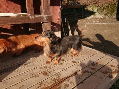 f:id:roukenhome-ann:20190120075252j:plain f:id:roukenhome-ann:20190120075252j:plain