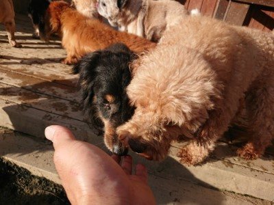 f:id:roukenhome-ann:20190120075255j:plain f:id:roukenhome-ann:20190120075255j:plain