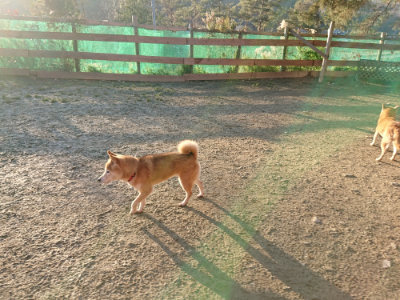 f:id:roukenhome-ann:20190120075300j:plain f:id:roukenhome-ann:20190120075300j:plain