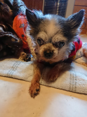 f:id:roukenhome-ann:20190120075304j:plain f:id:roukenhome-ann:20190120075304j:plain