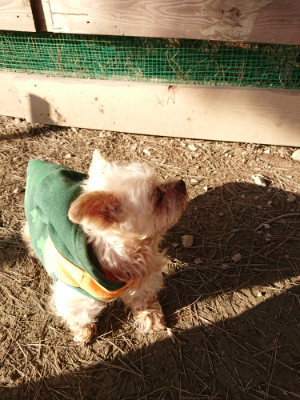 f:id:roukenhome-ann:20190120075309j:plain f:id:roukenhome-ann:20190120075309j:plain