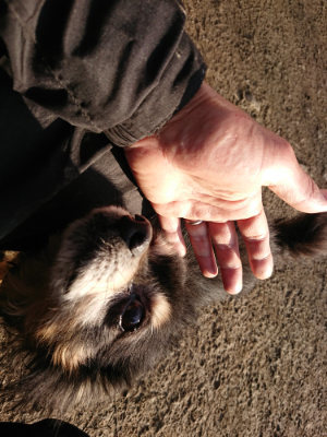 f:id:roukenhome-ann:20190120075315j:plain f:id:roukenhome-ann:20190120075315j:plain