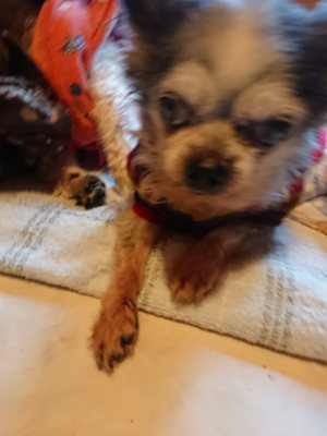 f:id:roukenhome-ann:20190120075334j:plain f:id:roukenhome-ann:20190120075334j:plain