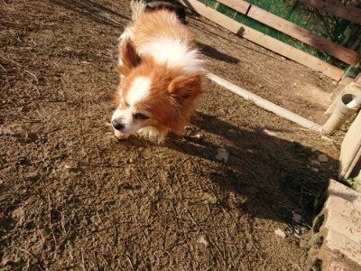 f:id:roukenhome-ann:20190120075339j:plain f:id:roukenhome-ann:20190120075339j:plain