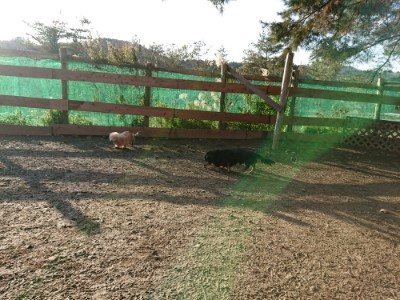 f:id:roukenhome-ann:20190120075343j:plain f:id:roukenhome-ann:20190120075343j:plain