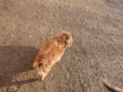 f:id:roukenhome-ann:20190120075347j:plain f:id:roukenhome-ann:20190120075347j:plain