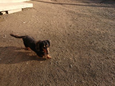 f:id:roukenhome-ann:20190120075410j:plain f:id:roukenhome-ann:20190120075410j:plain