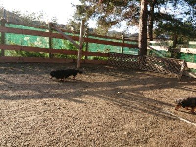 f:id:roukenhome-ann:20190120075424j:plain f:id:roukenhome-ann:20190120075424j:plain